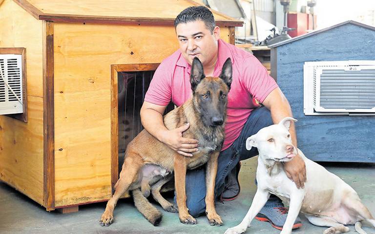 Ofrecen un verano digno a los canes perros mascotas perritos calor  refrigeración Dogs Life aire acondicionado Mexicali - La Voz de la Frontera  | Noticias Locales, Policiacas, sobre México, Mexicali, Baja California